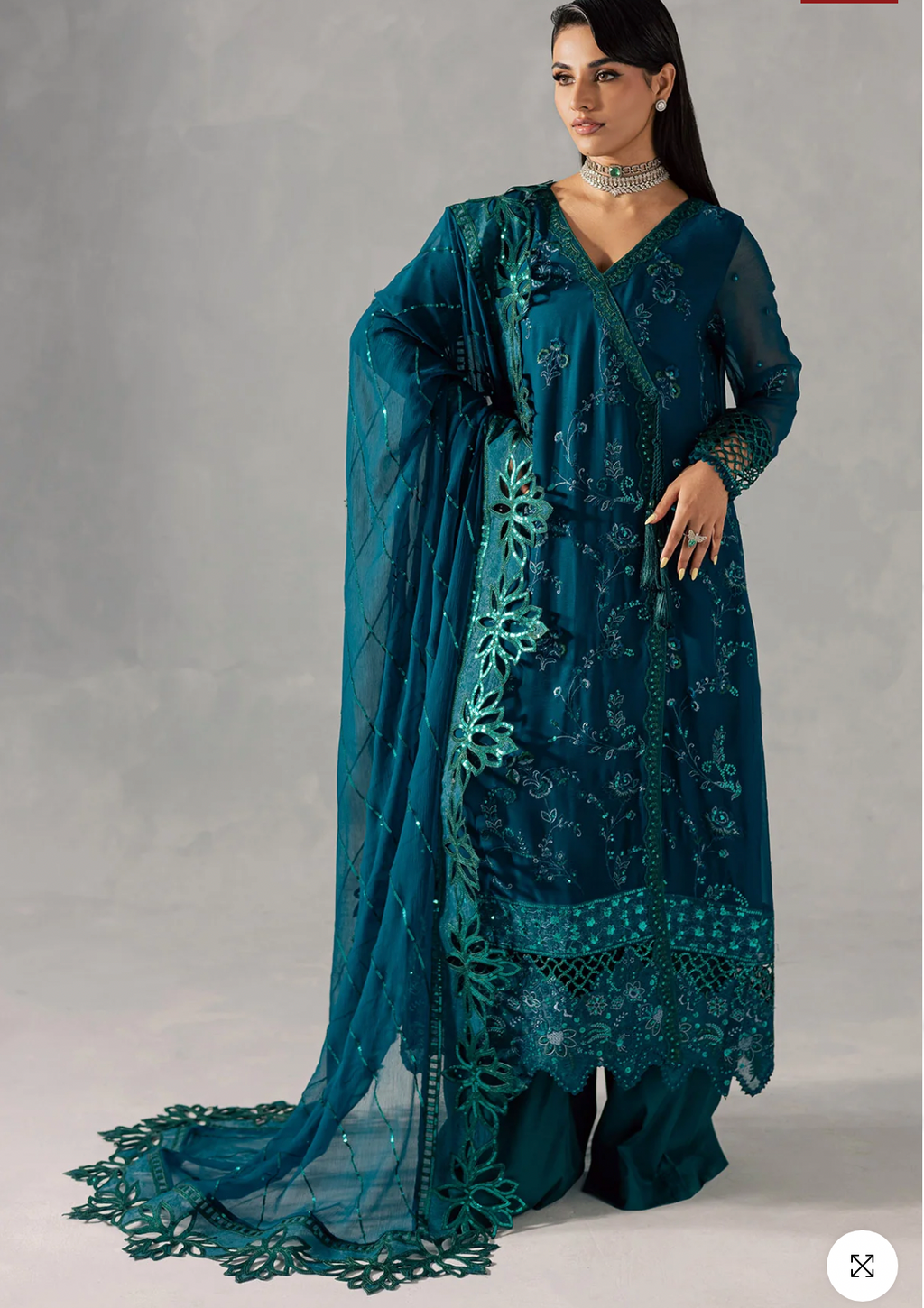 Embroidred party Wear Pakistani Dress